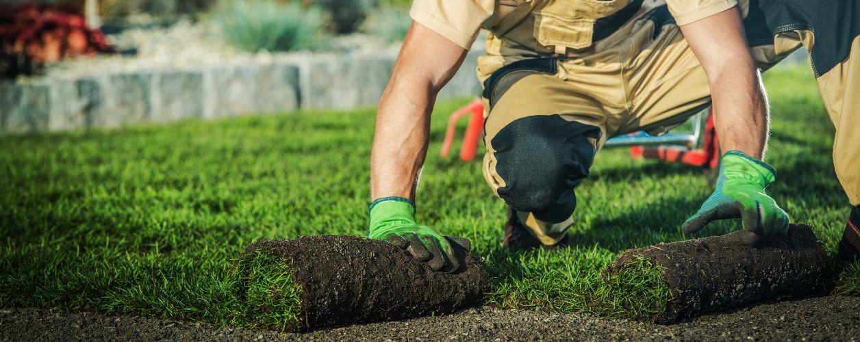 How Much Does Landscaping Cost?