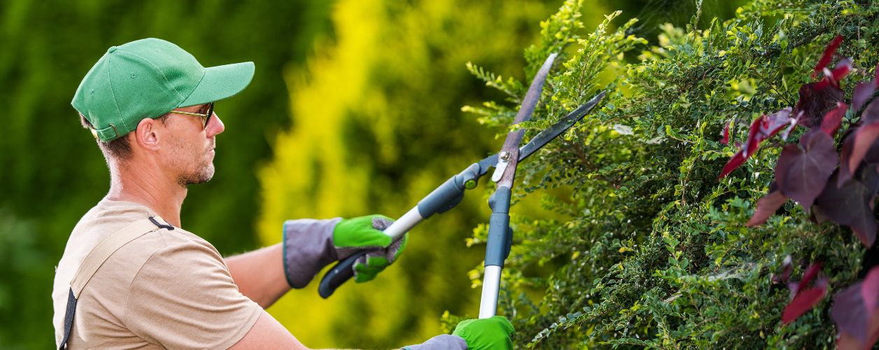 How Much Does Gardener Cost?