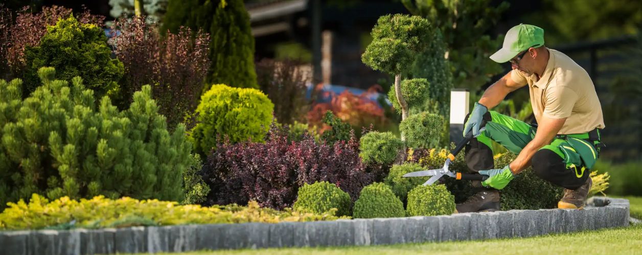 Landscaping Ideas to Boost Curb Appeal on a Budget