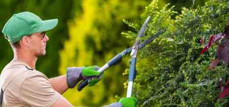 How Much Does Gardener Cost?