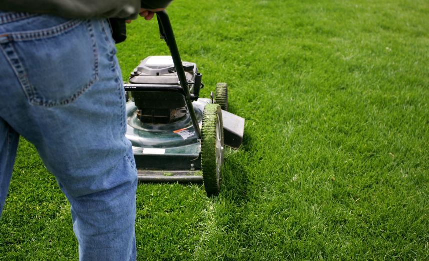 Yard Care