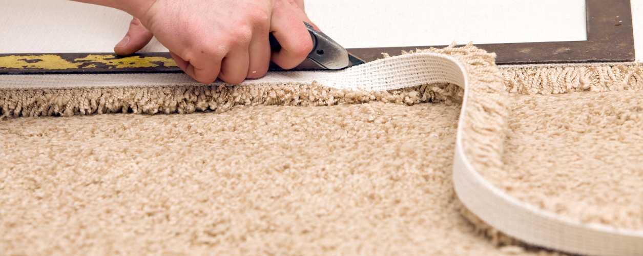 2025/08/carpet-installation-11756369374.jpg