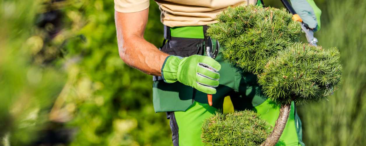 2025/08/gardening-services-11756362573.jpg