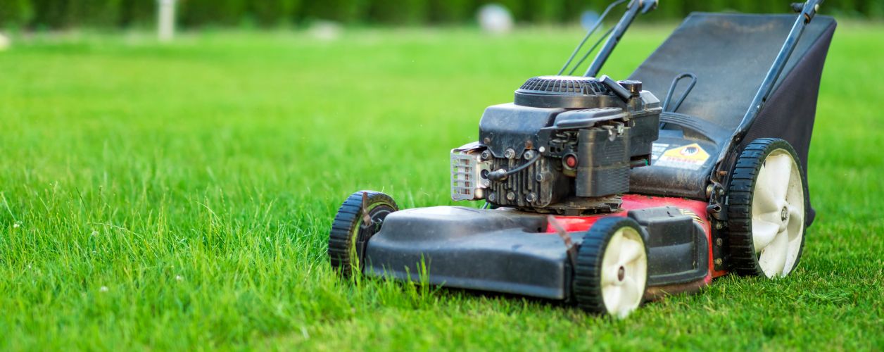 2025/08/lawn-care-11756365012.jpg