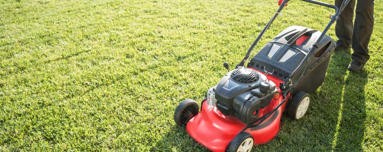 2025/08/lawn-cutting-services-11756369149.jpg