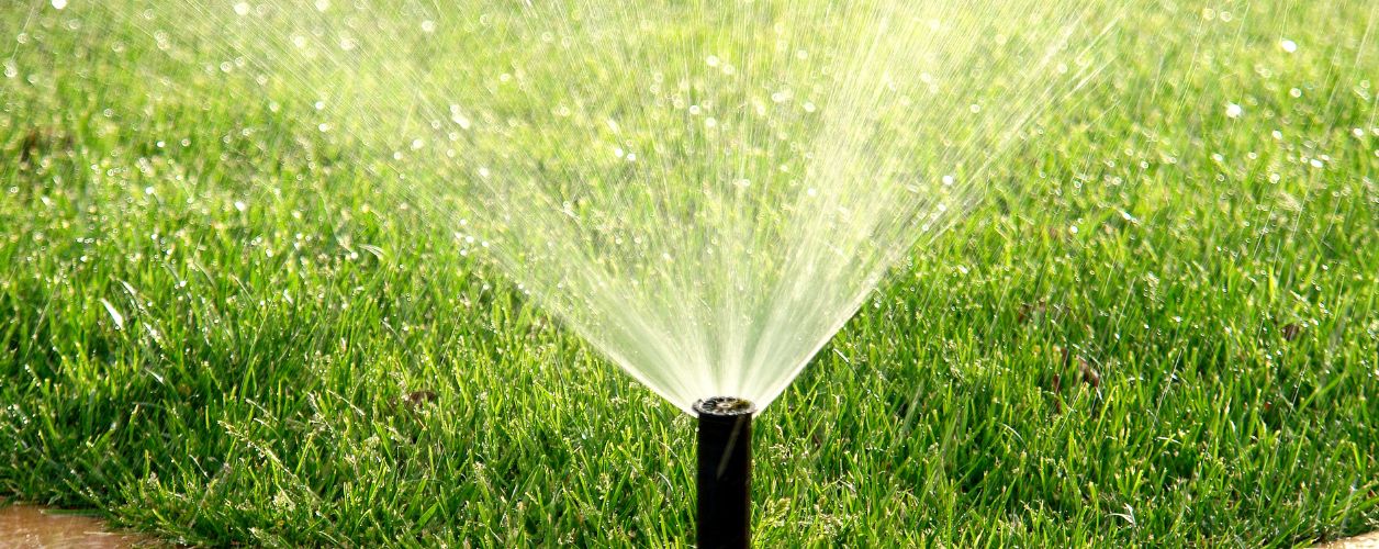 2025/08/lawn-irrigation-11756377681.jpg