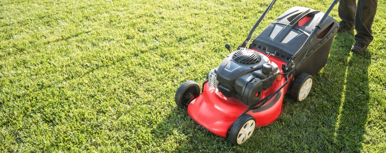 2025/08/lawn-repair-services-11756366809.jpg