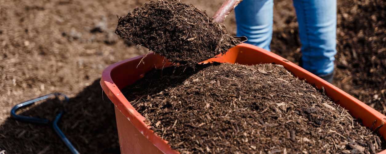 2025/08/mulch-delivery-services-11756369539.jpg