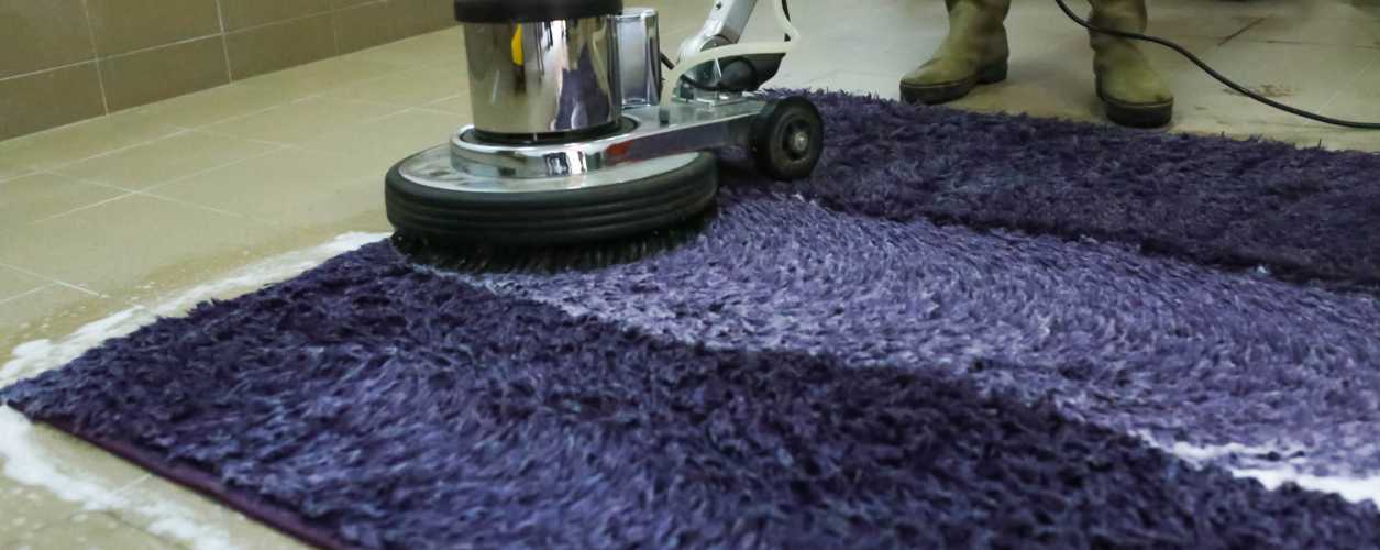 2025/08/rug-cleaning-11756367757.jpg
