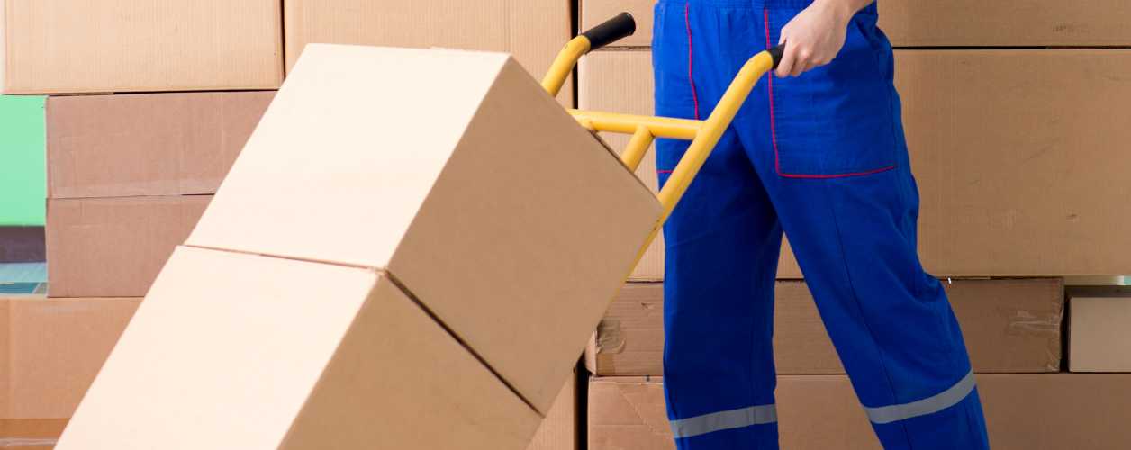 2025/08/small-movers-11756375463.jpg