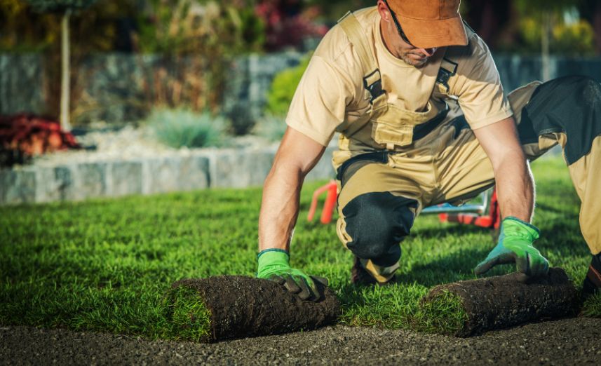 Landscaping Checklist